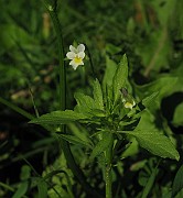 IMG_3697