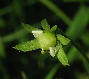 IMG_3698