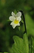 IMG_3699