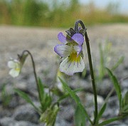 IMG_4805