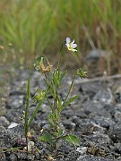 IMG_4810