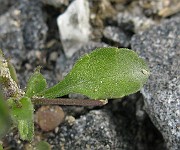 IMG_4811