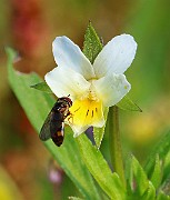 IMG_6482