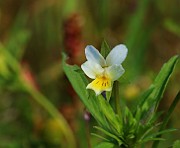 IMG_6484