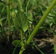 IMG_8119