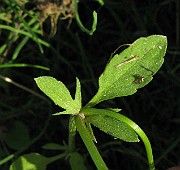 IMG_8120