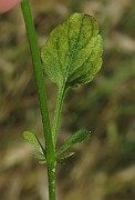 IMG_9869