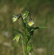 IMG_9874
