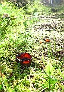 IMG_9467