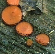 IMG_9957