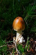 IMG_0865