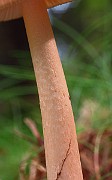 IMG_1956