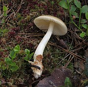 IMG_7668