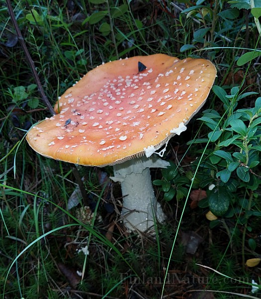 20200730_175536.jpg