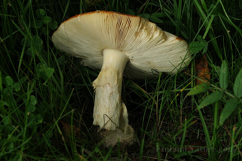 IMG_7241.JPG