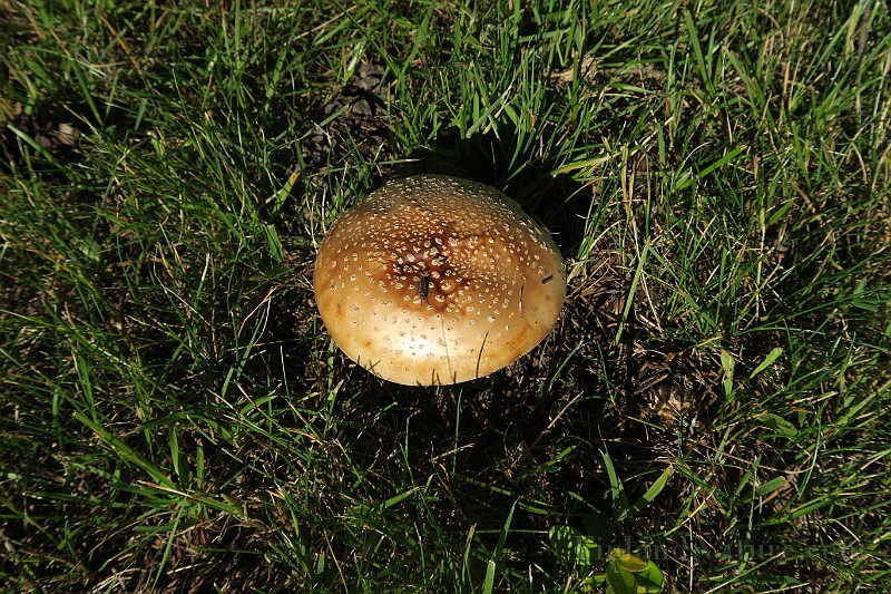 IMG_0023.JPG