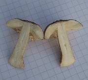 IMG_0095