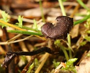 IMG_0089s
