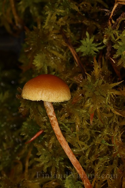 IMG_0478.JPG