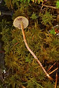 IMG_0476