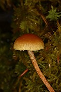 IMG_0479
