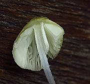 IMG_2143