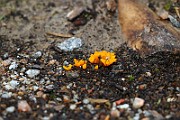 IMG_1012