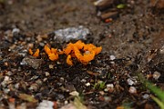 IMG_1105