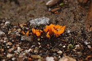 IMG_1106