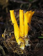 IMG_7812