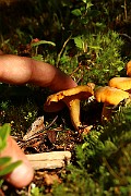 IMG_0286