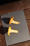IMG_0306