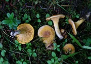IMG_0553