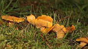IMG_0800
