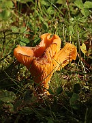 IMG_0803