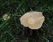 IMG_2205