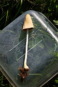 IMG_1610
