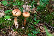 IMG_9183