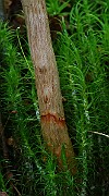 IMG_9216