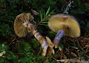 IMG_6206