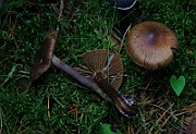 IMG_5898