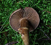 IMG_5900