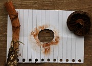 IMG_5999