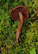IMG_6124