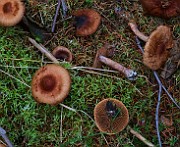 IMG_6167