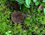 IMG_7874