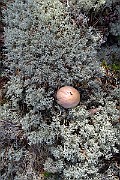 IMG_0613