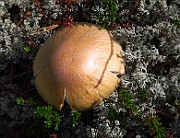IMG_0614