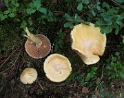 IMG_0620