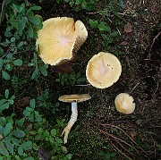 IMG_0621